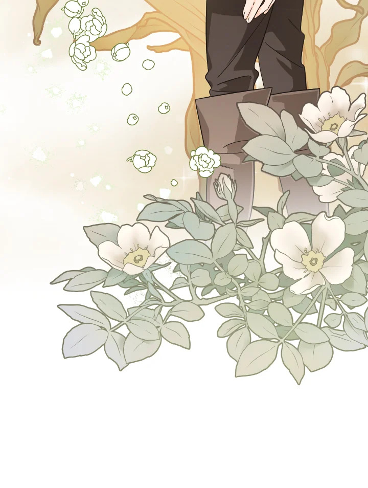 Terrarium Adventure 17 081