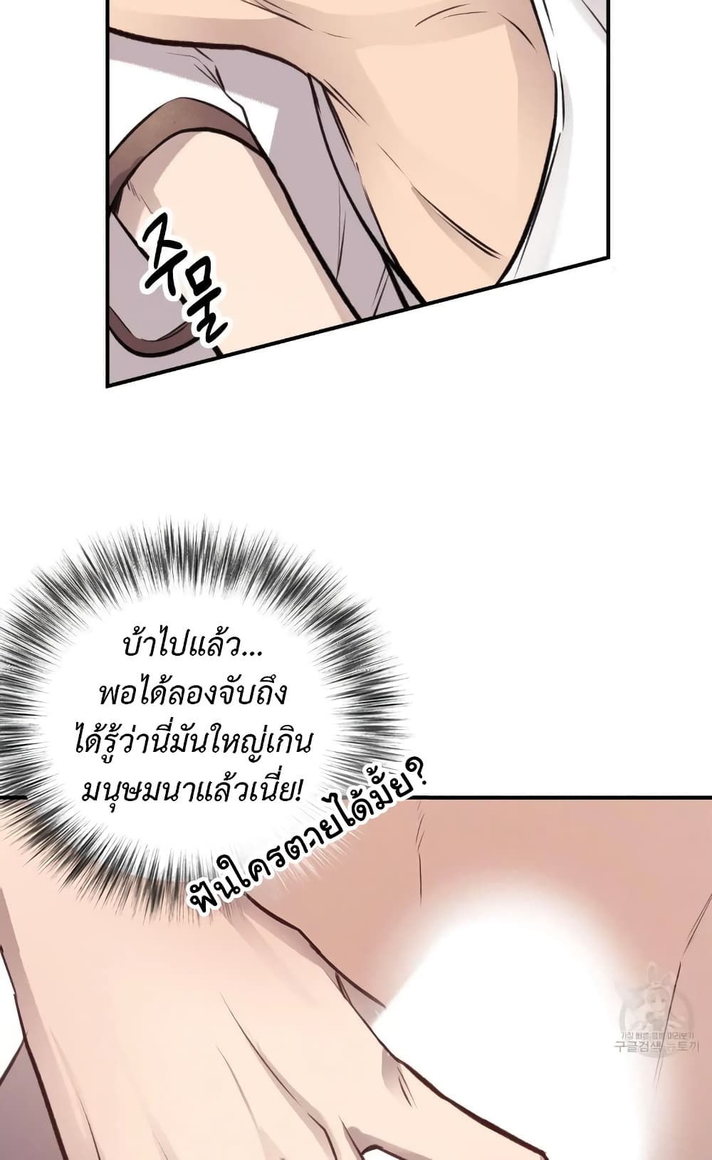 Honey Bear 12 18