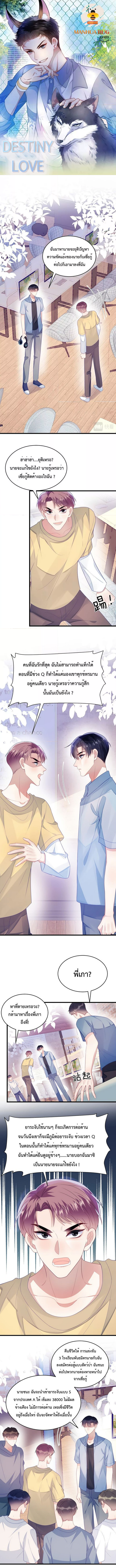 DESTINY LOVE 44 (1)