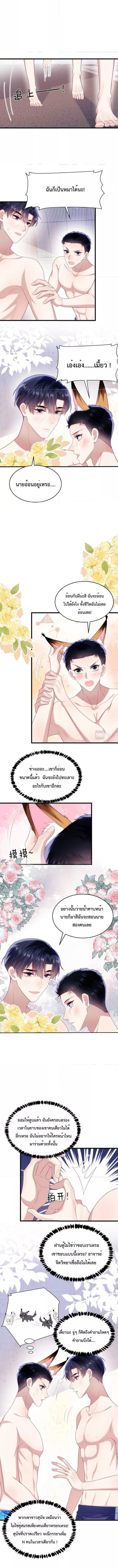 DESTINY LOVE 43 (4)