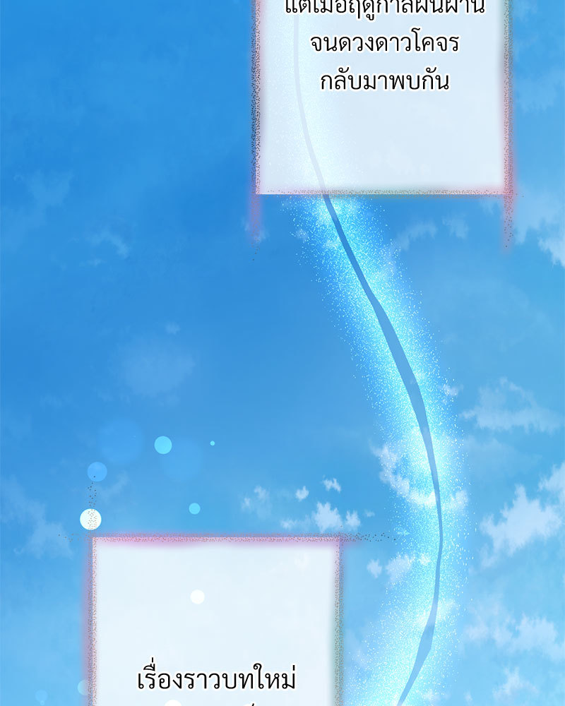 canidie 20 2 67 08148