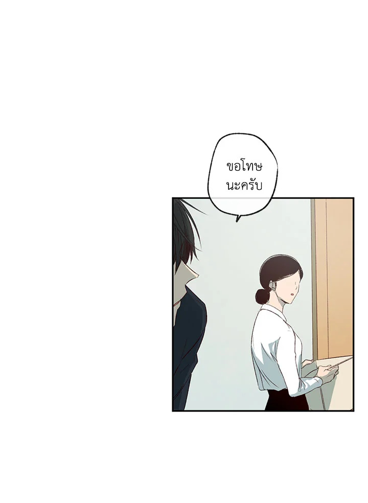 The Shape of Sympathy 2 33