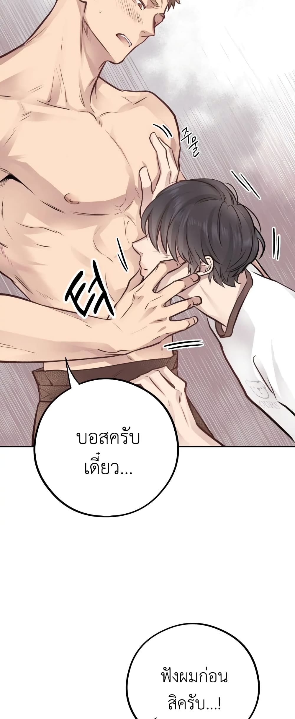 Honey Bear 8 39