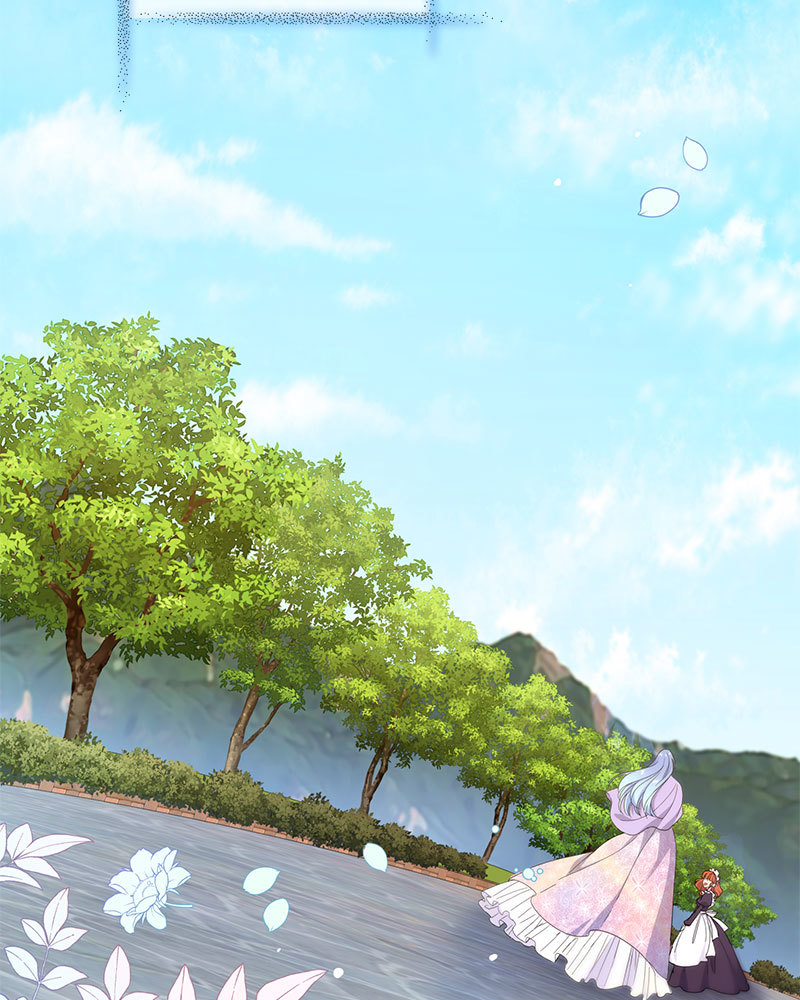 canidie 20 2 67 08155