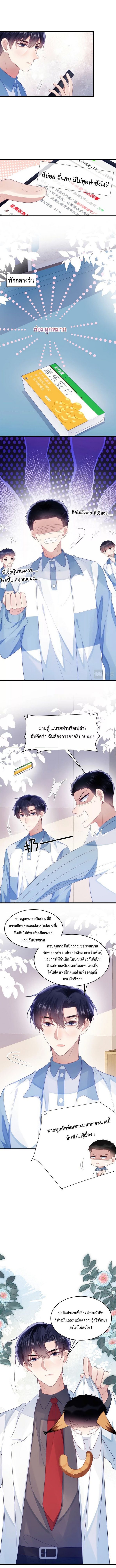DESTINY LOVE 41 (4)