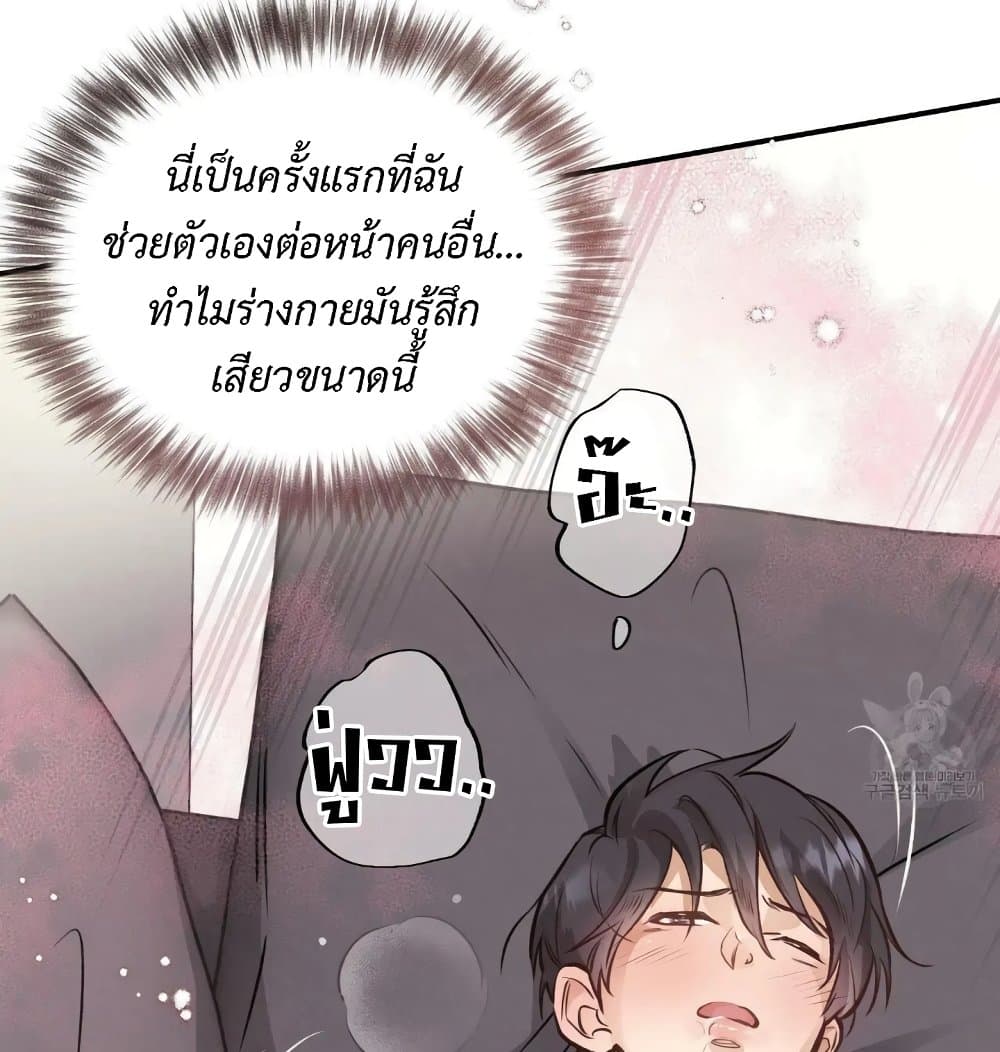 Honey Bear 15 038