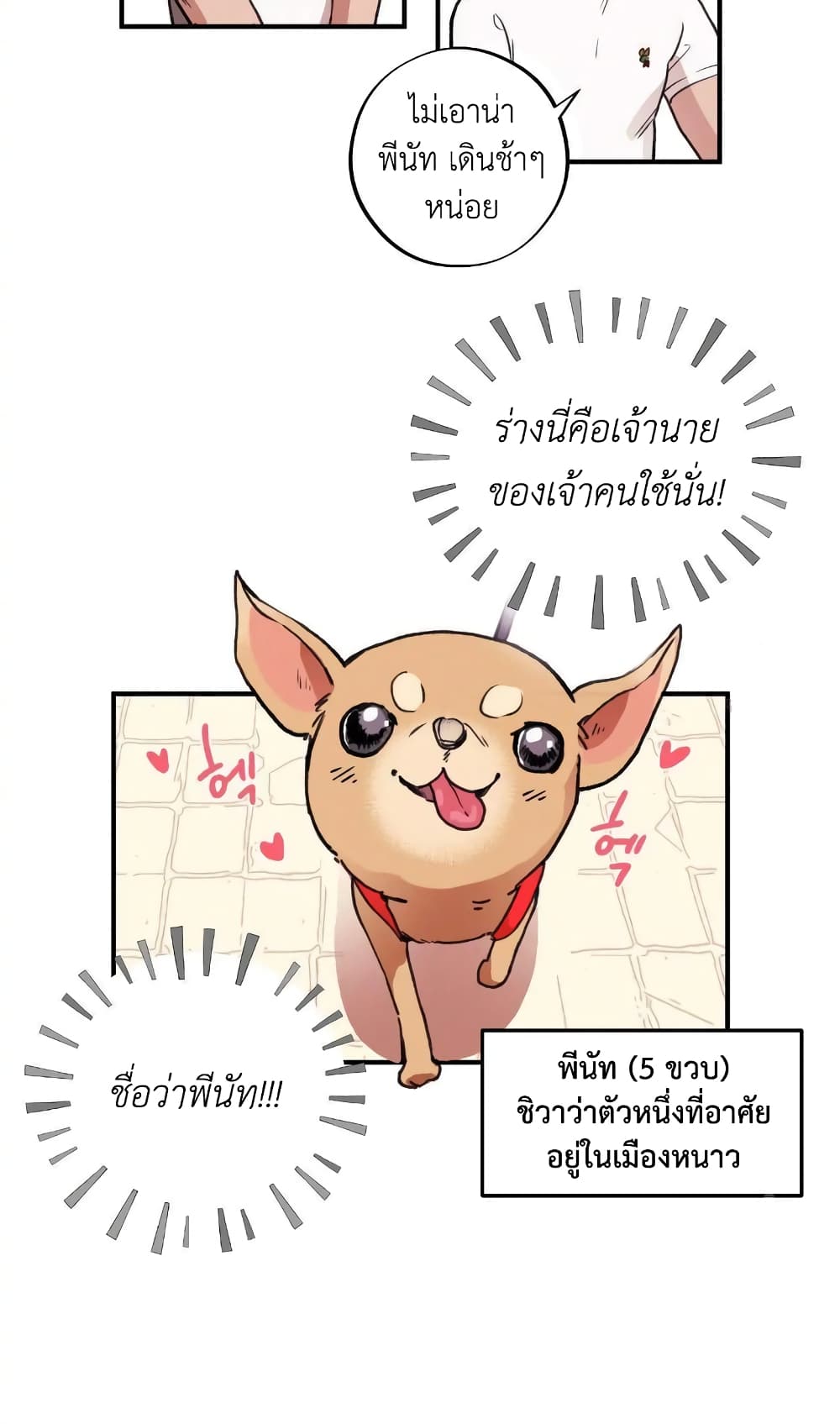 Honey Bear 1 04