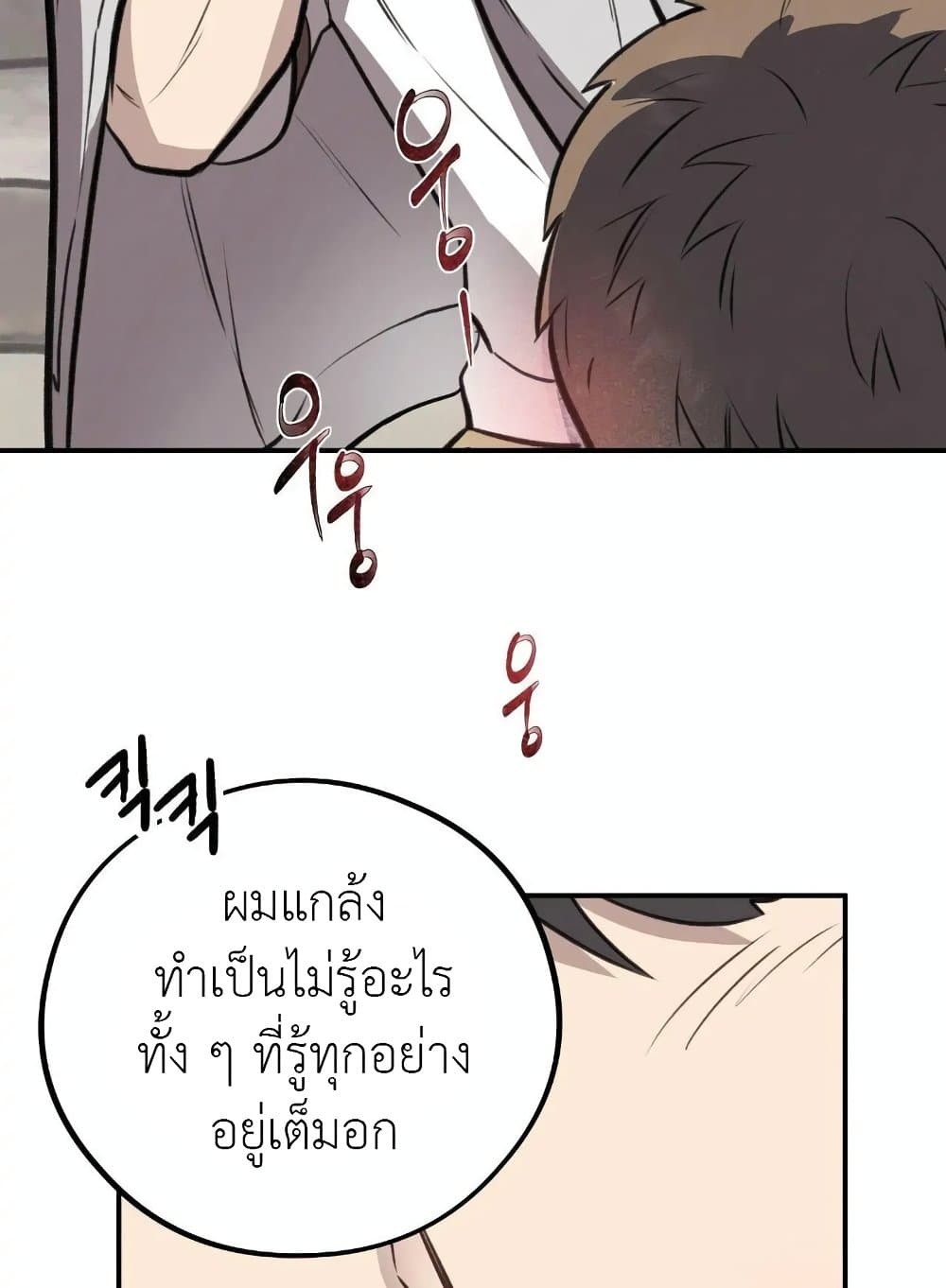 Honey Bear 9 60