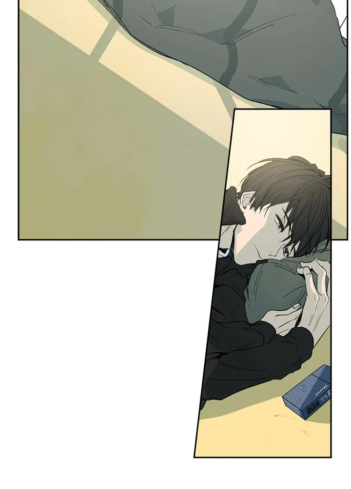 The Shape of Sympathy 5 011