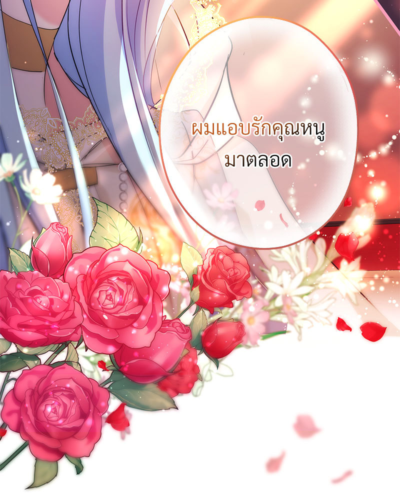 canidie 20 2 67 08113