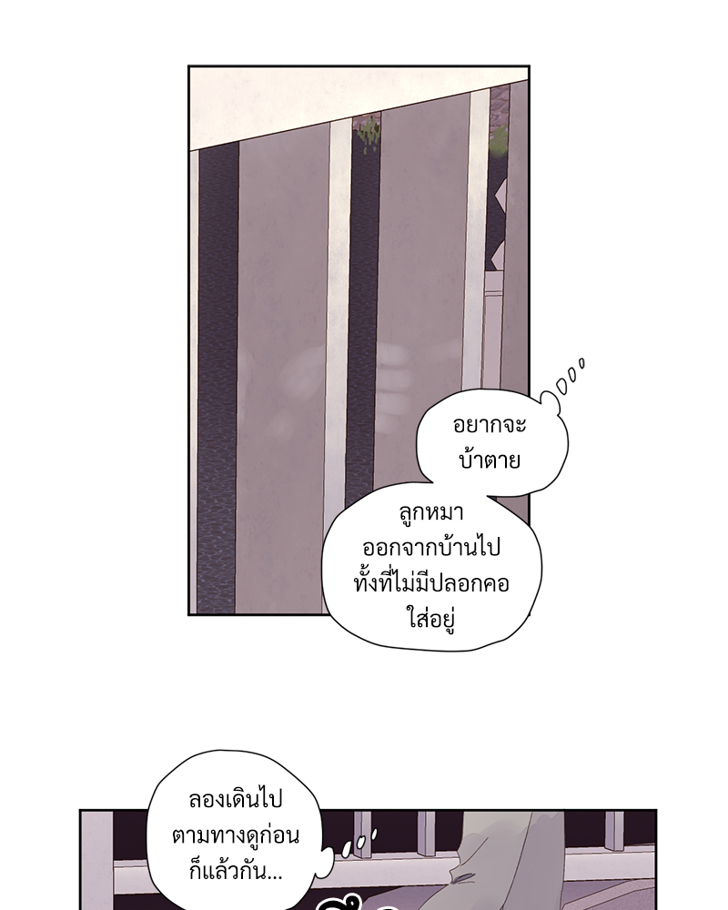 4 Week Lovers แฟนกัน 4 สัปดาห์ 84 20