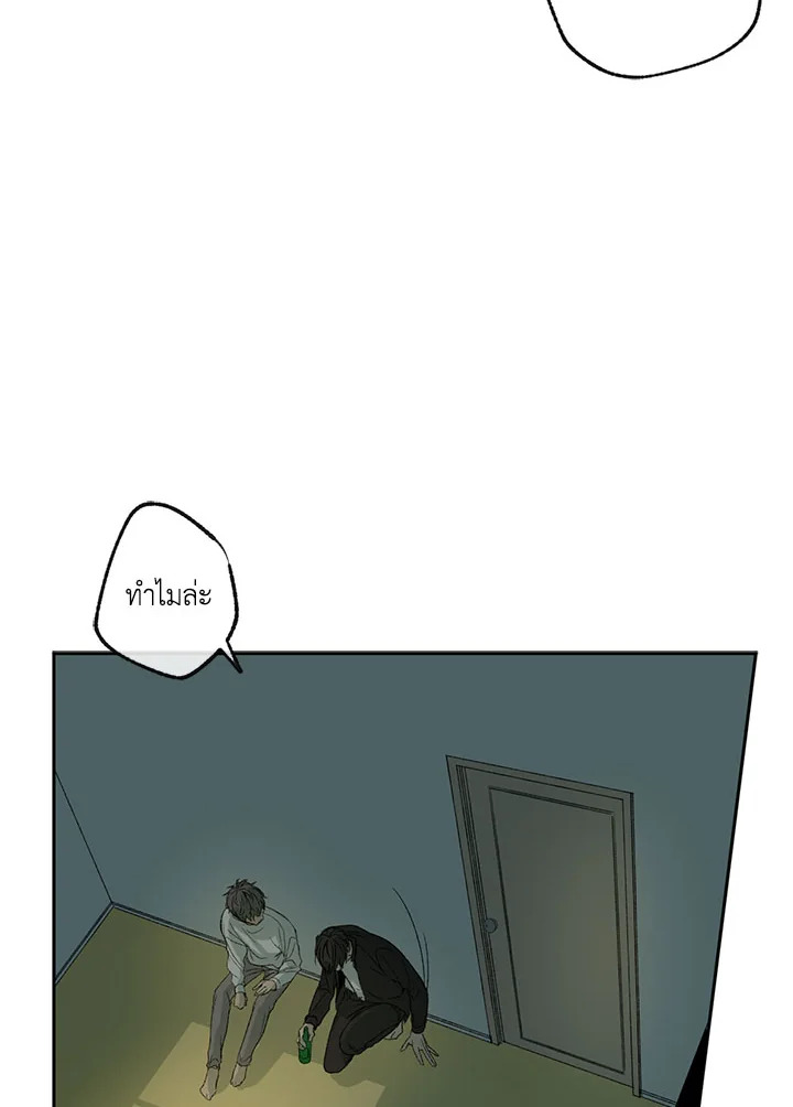 The Shape of Sympathy 4 004