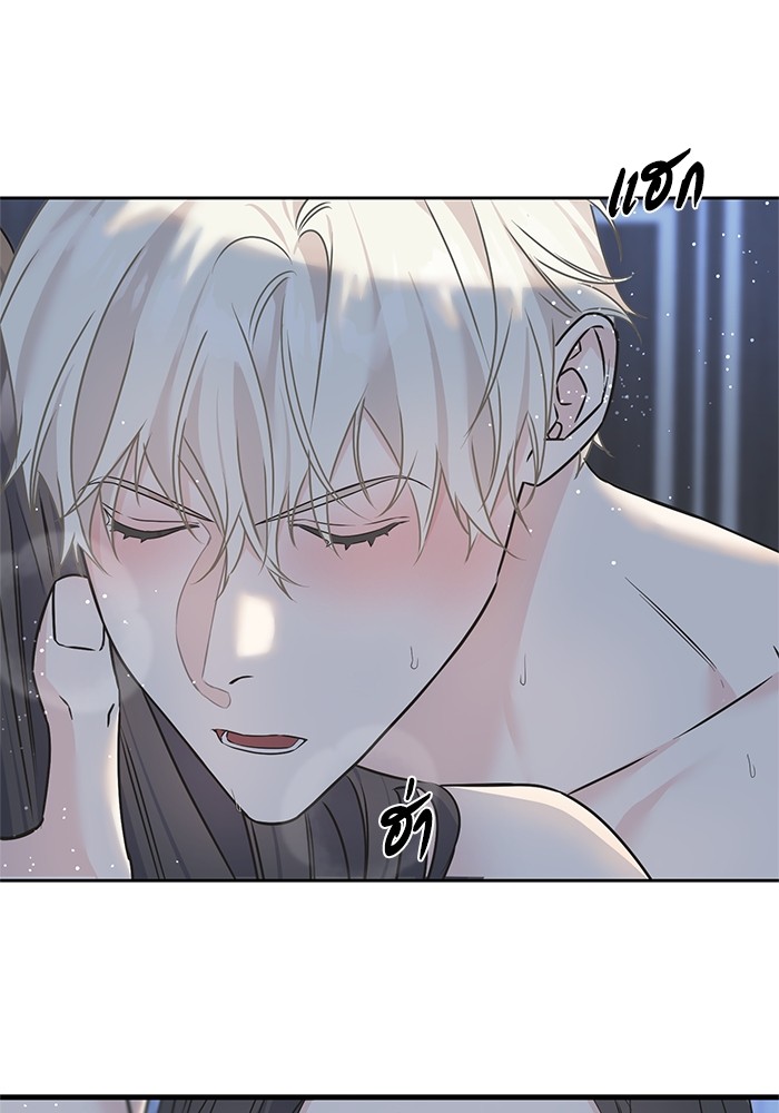 Crows Like Things That Sparkle 80 (55)