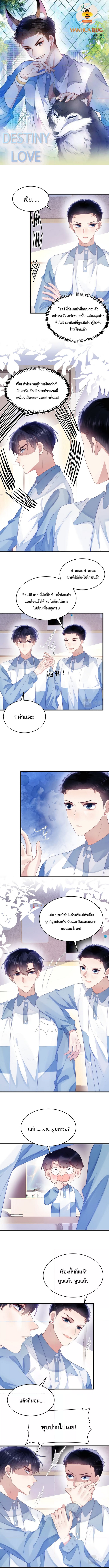 DESTINY LOVE 40 (1)
