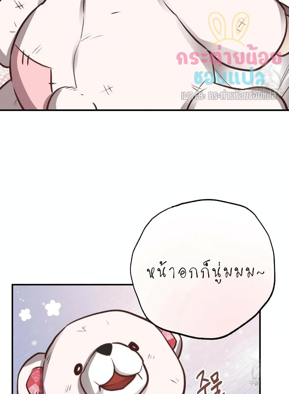 Honey Bear 9 15