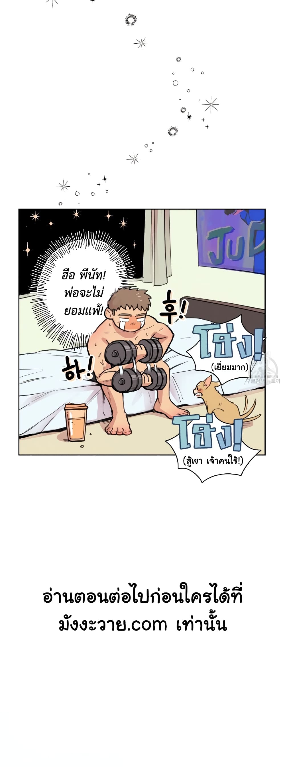 Honey Bear 4 35
