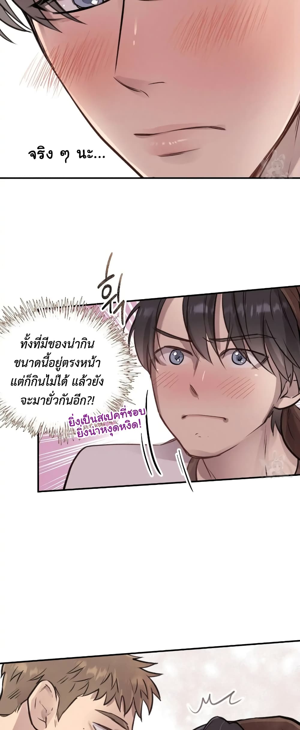 Honey Bear 8 16