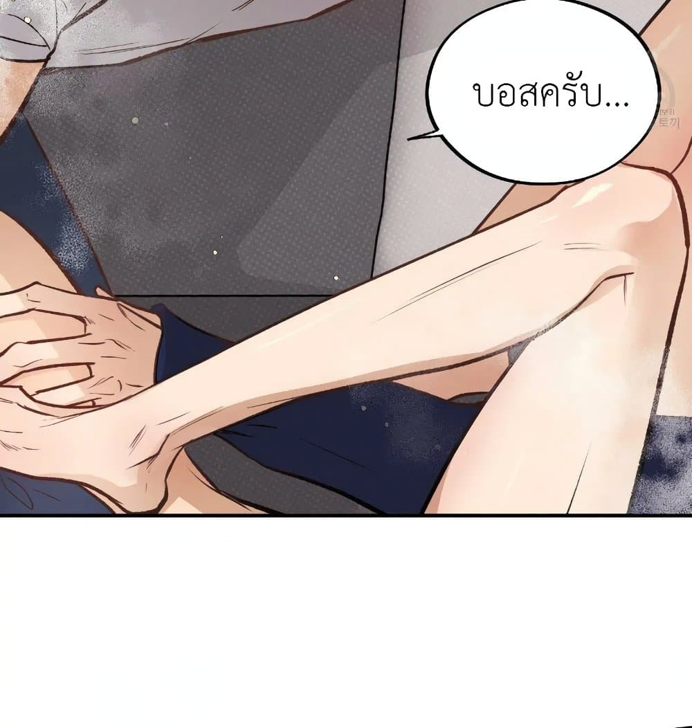 Honey Bear 15 061