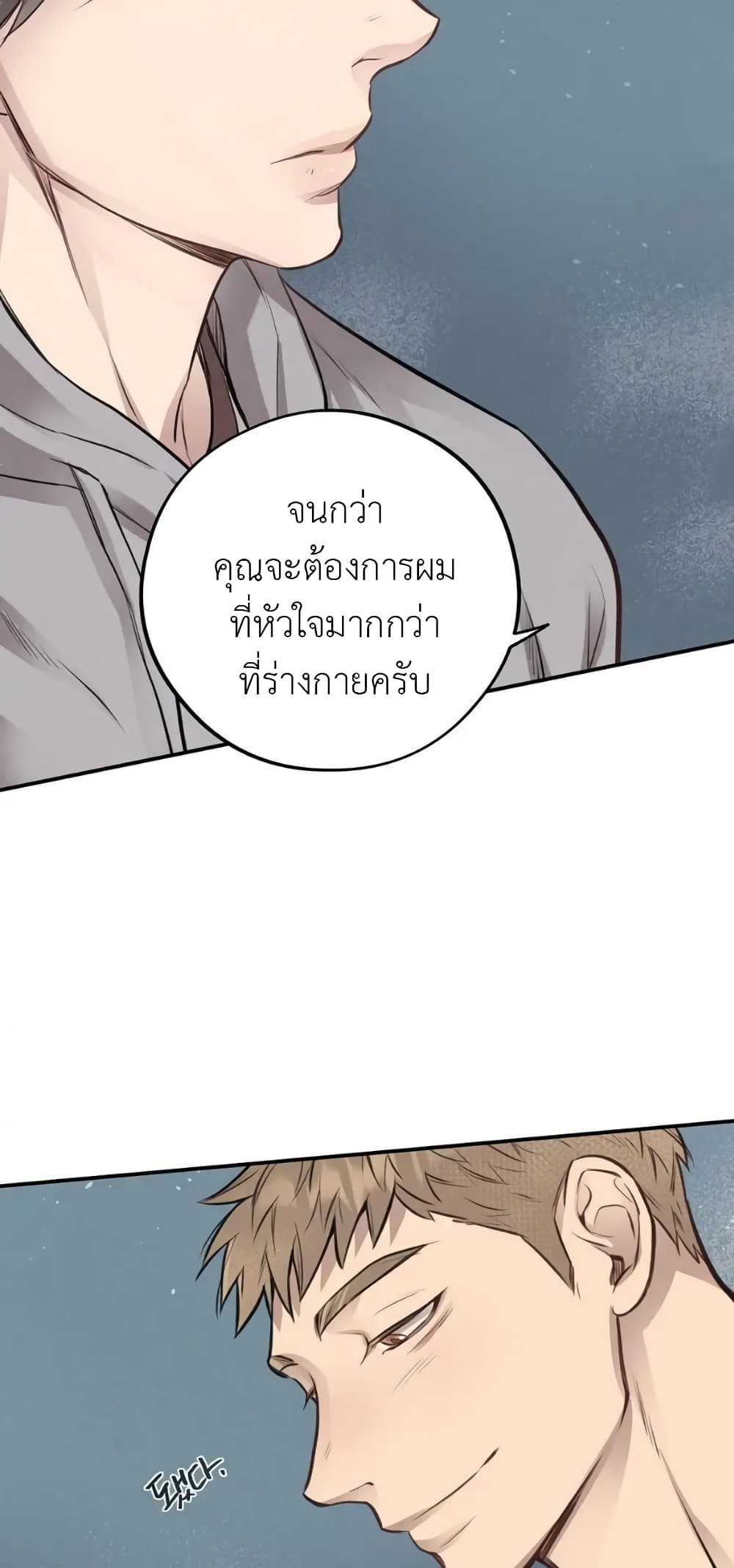 Honey Bear 40 45