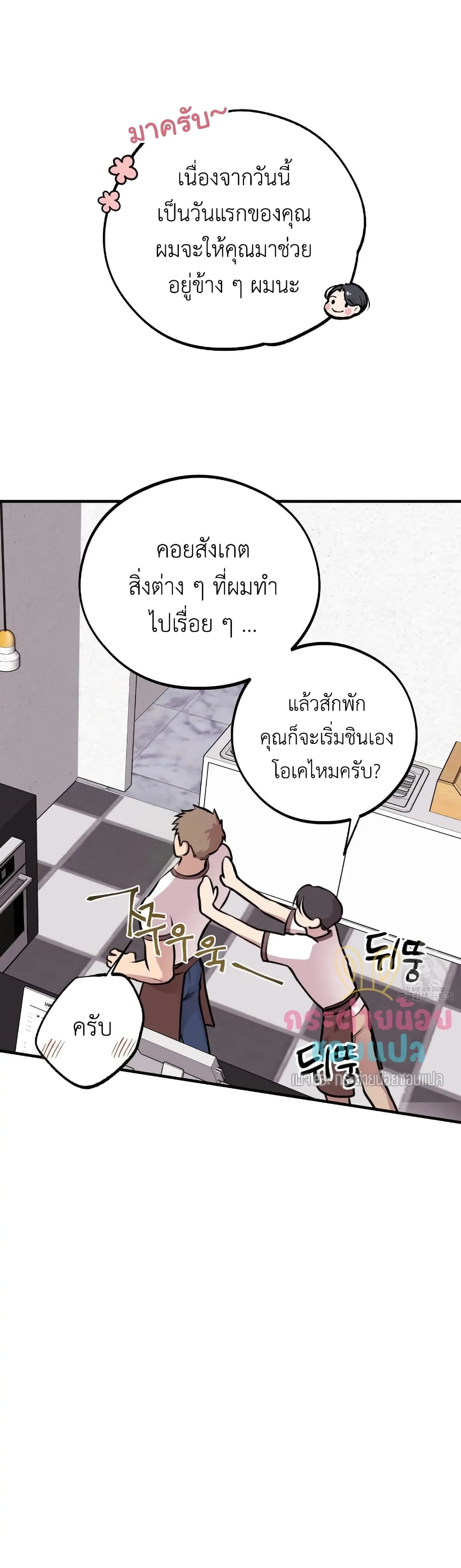 Honey Bear 6 12