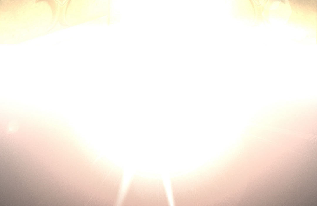 S Class Hunter Doesn't Want To Be A Villain Princess 0 006