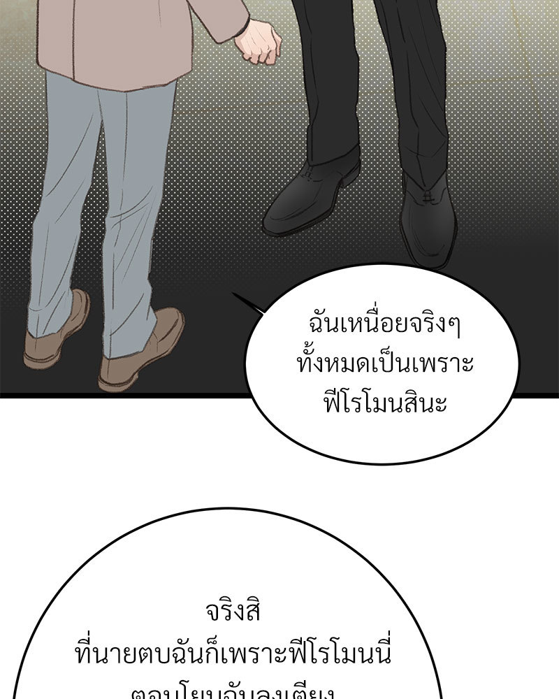 เน€เธเธ•เธซเนเธฒเธกเธฃเธฑเธเธเธเธฑเธเน€เธเธ•เนเธฒ 47 048