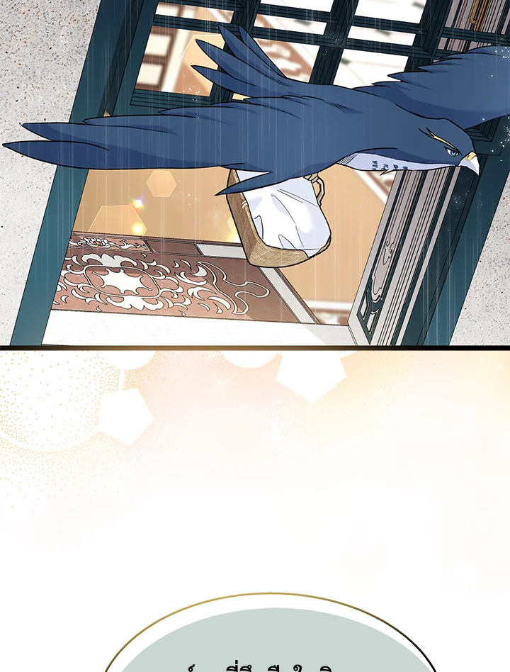 The Symbiotic Relationship Between a Panther and a Rabbit 121 18