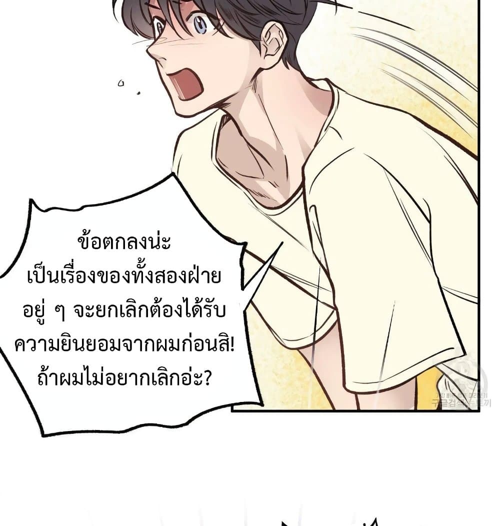 Honey Bear 15 006