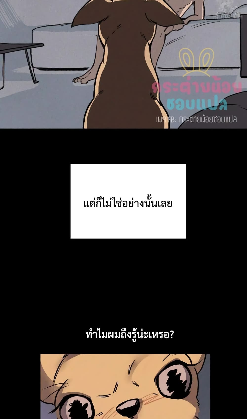 Honey Bear 1 08