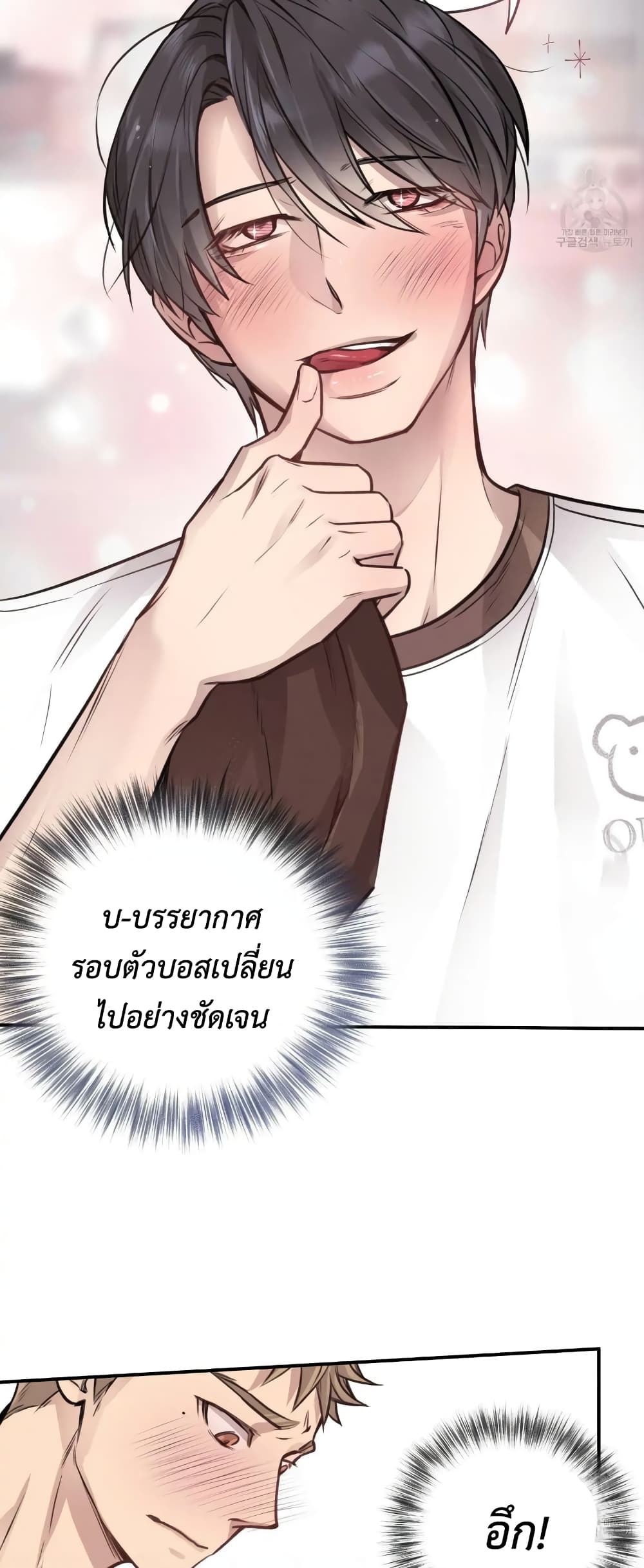 Honey Bear 8 35