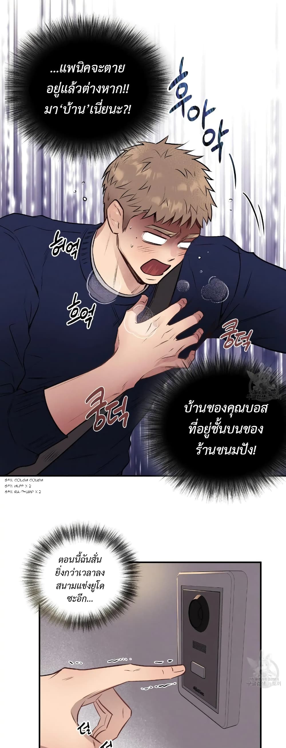 Honey Bear 14 04
