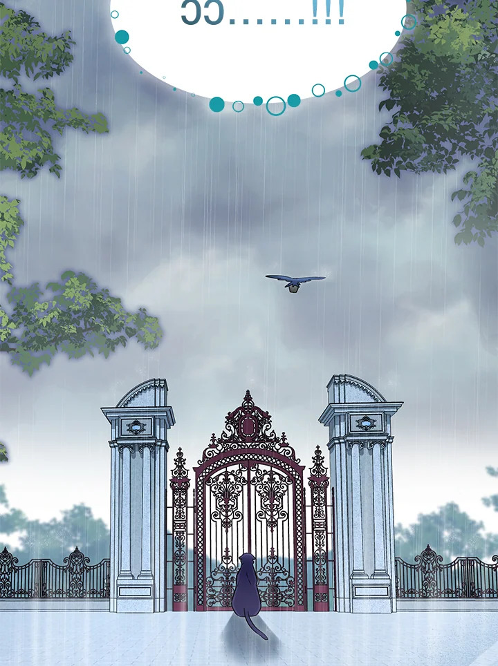 The Symbiotic Relationship Between a Panther and a Rabbit 121 84