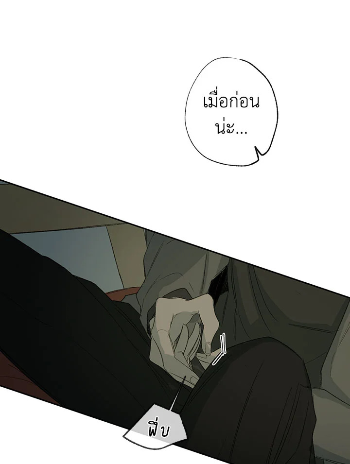 The Shape of Sympathy 26 71