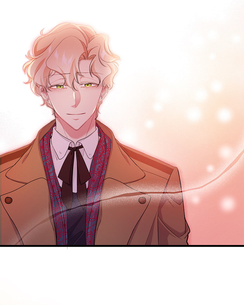 canidie 20 2 67 08100