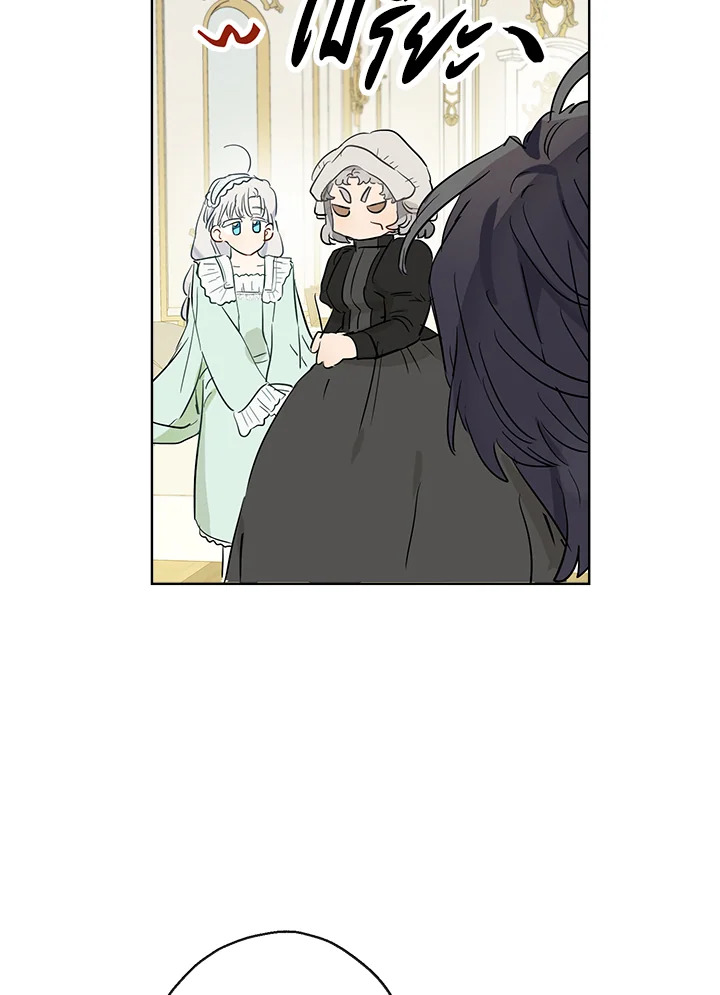 When the Count 40 33