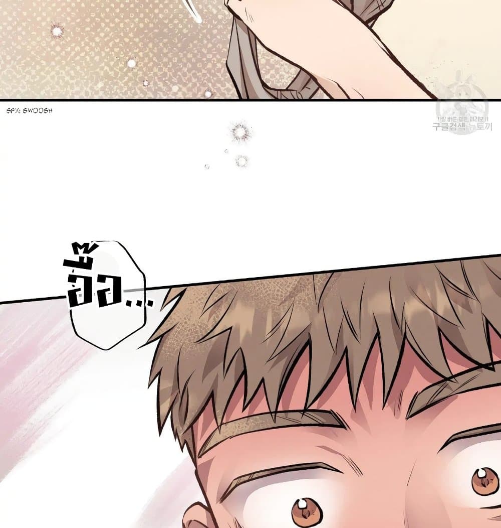 Honey Bear 15 034