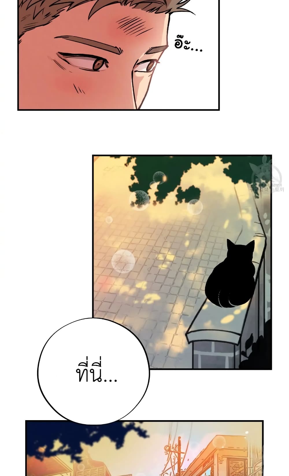 Honey Bear 2 32