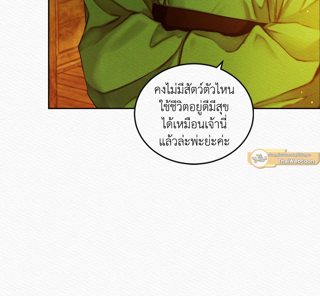 Night Song 26 41