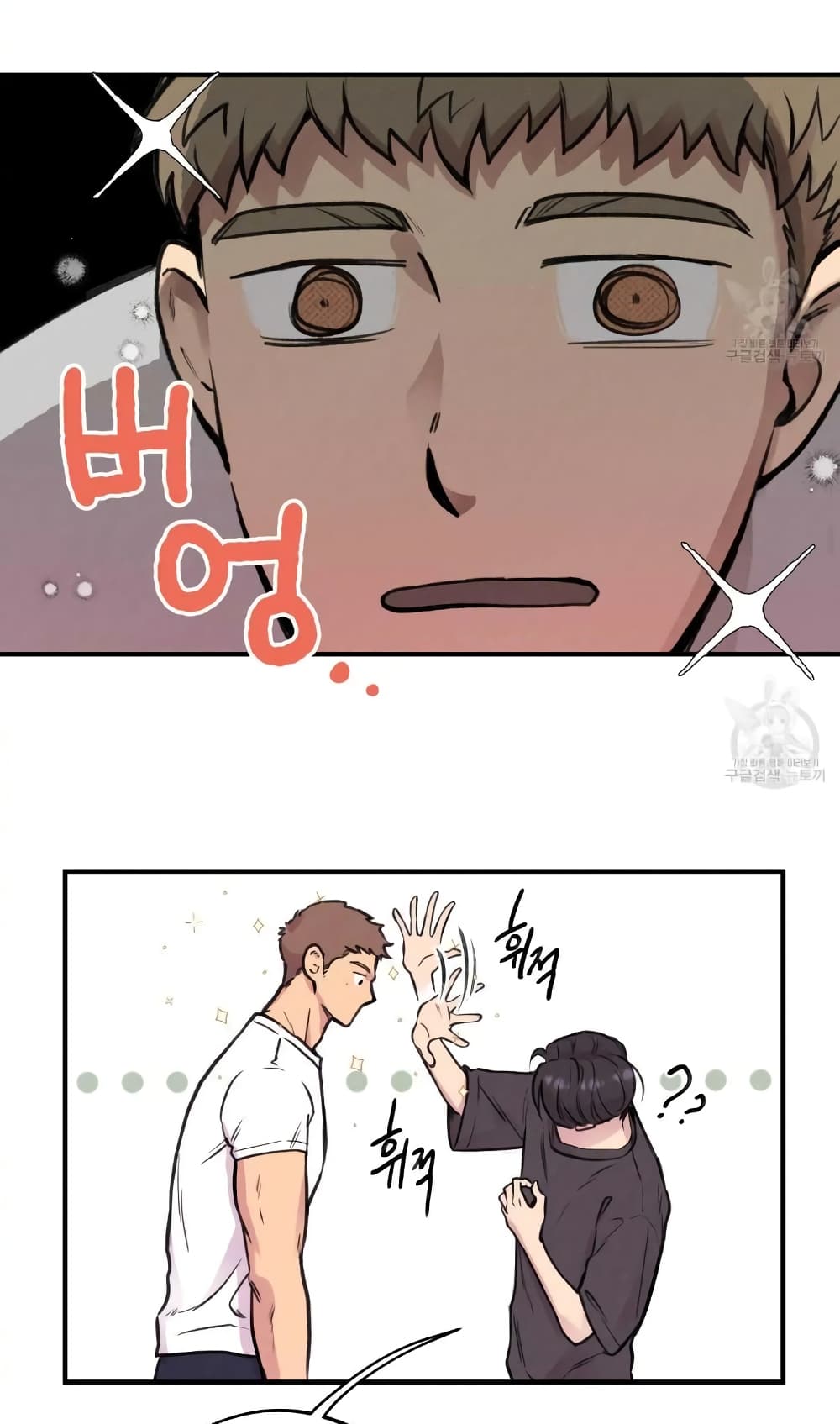 Honey Bear 1 31