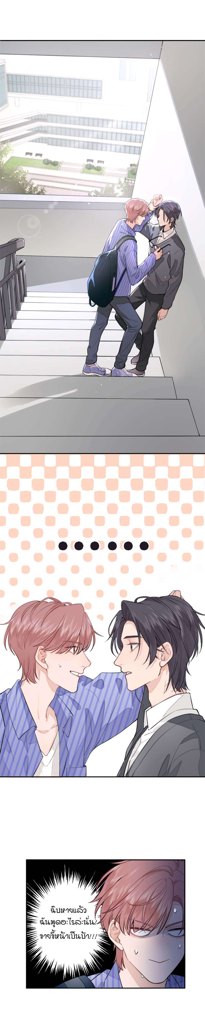 The Grown Dog Bullies Its Owner 2 02