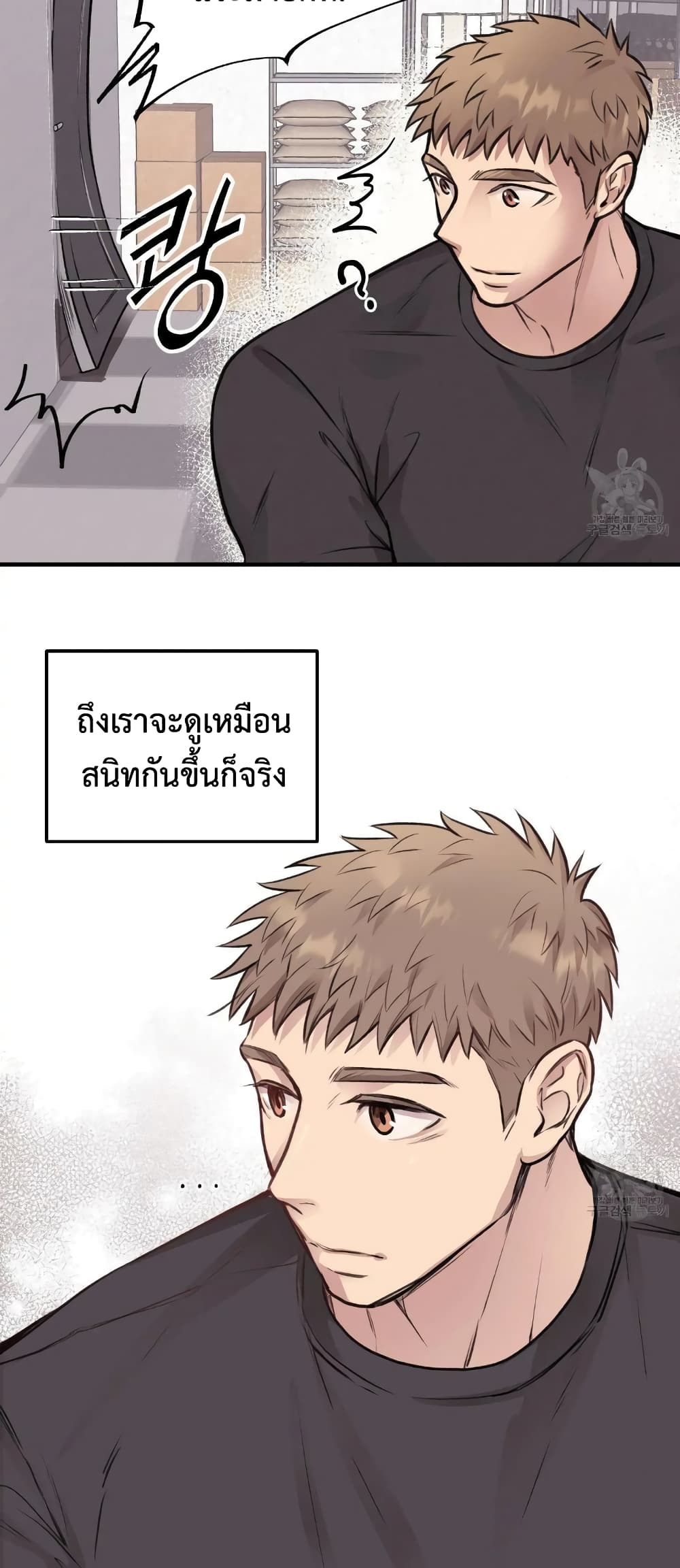Honey Bear 7 13