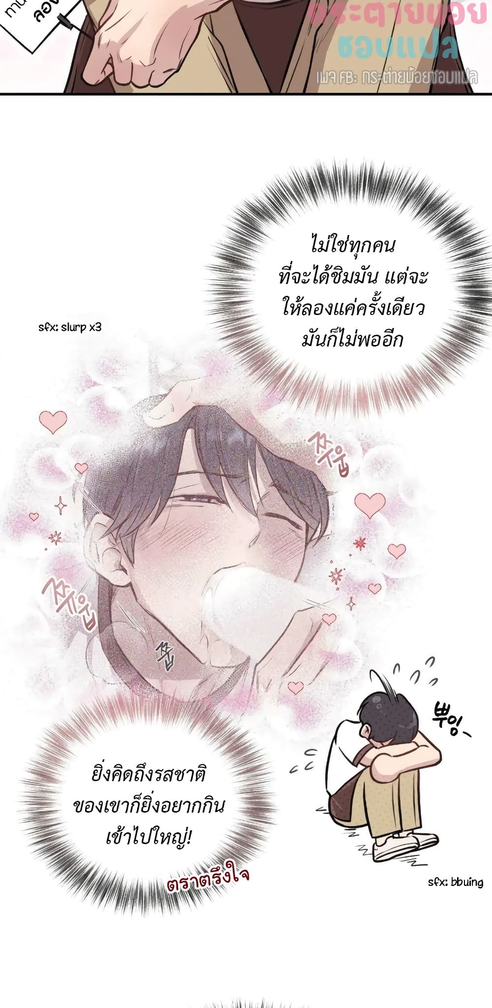 Honey Bear 13 18