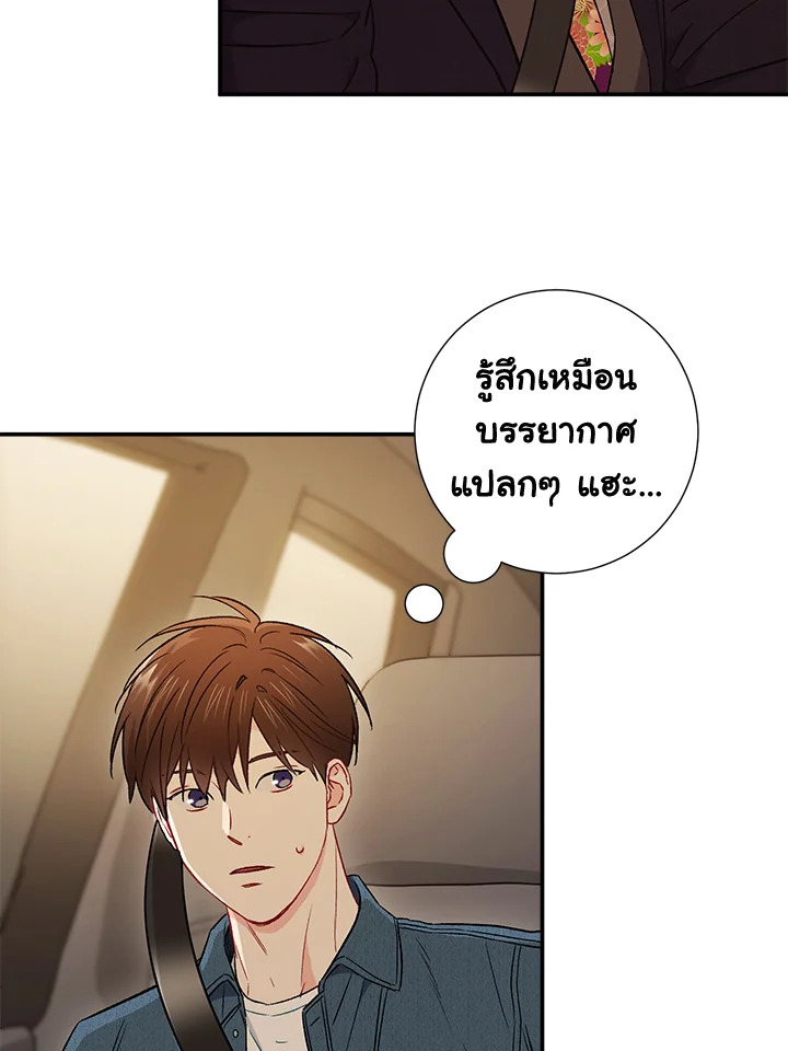 The Ideal Relationship 37 20