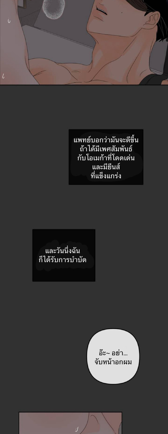 The Boundary of Fragrance 1 11