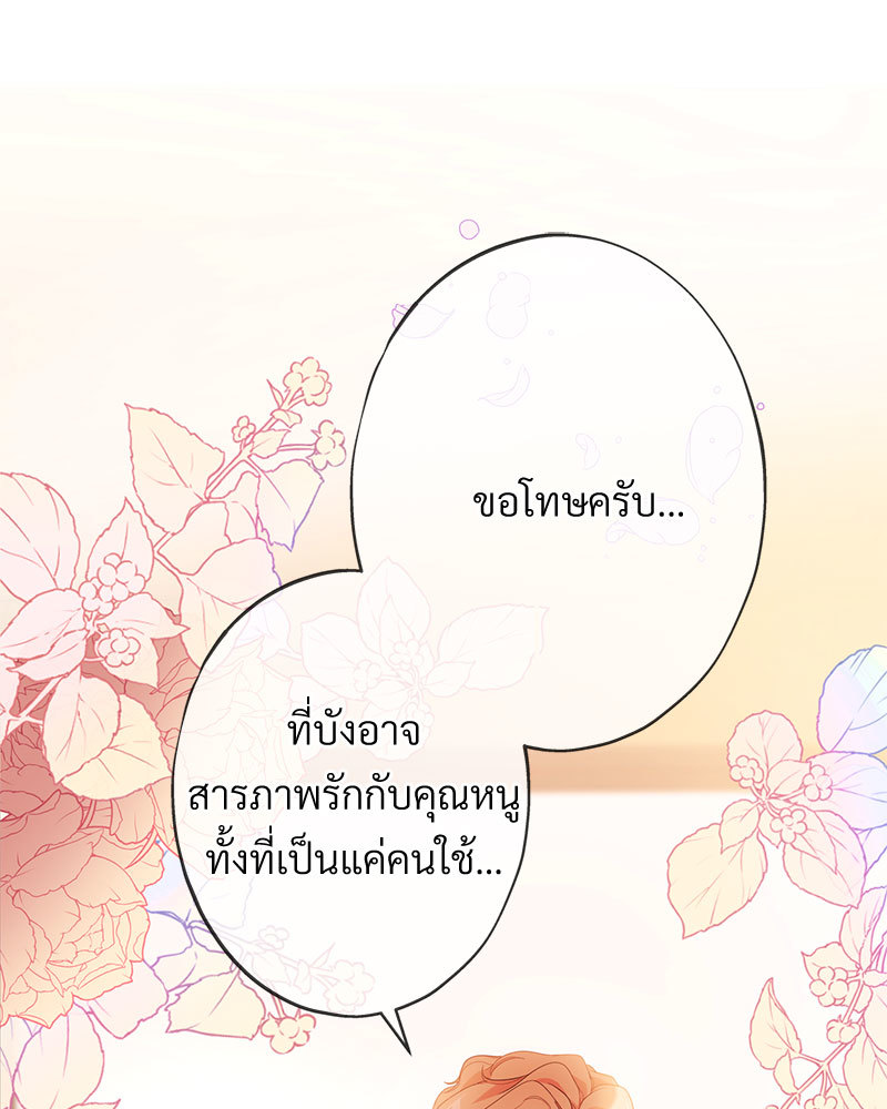 canidie 20 2 67 08120