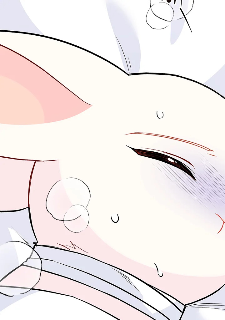 The Symbiotic Relationship Between a Panther and a Rabbit 122 022