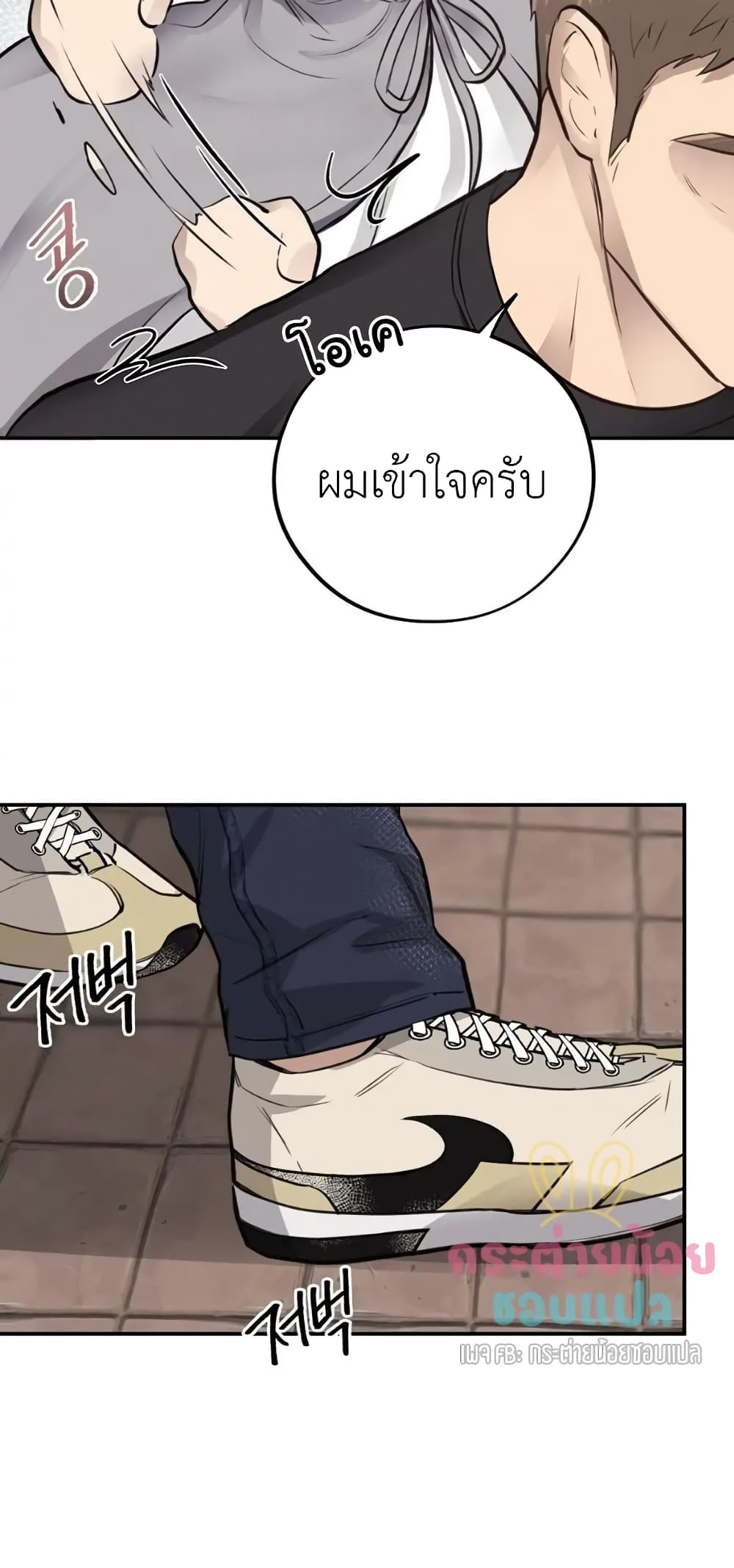 Honey Bear 40 30