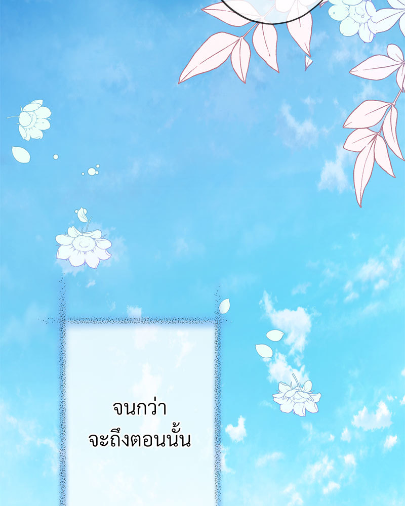 canidie 20 2 67 08154