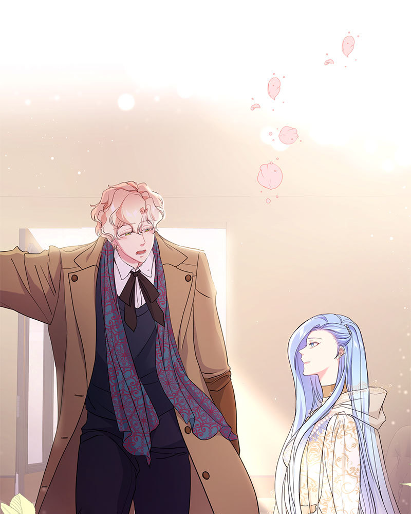 canidie 20 2 67 08090