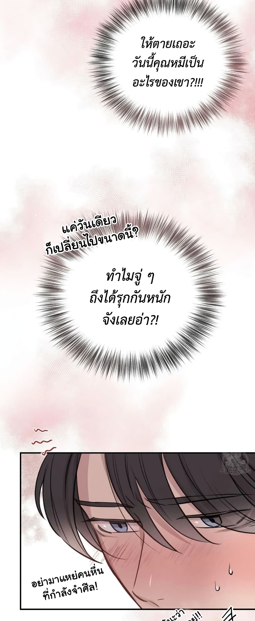 Honey Bear 8 14